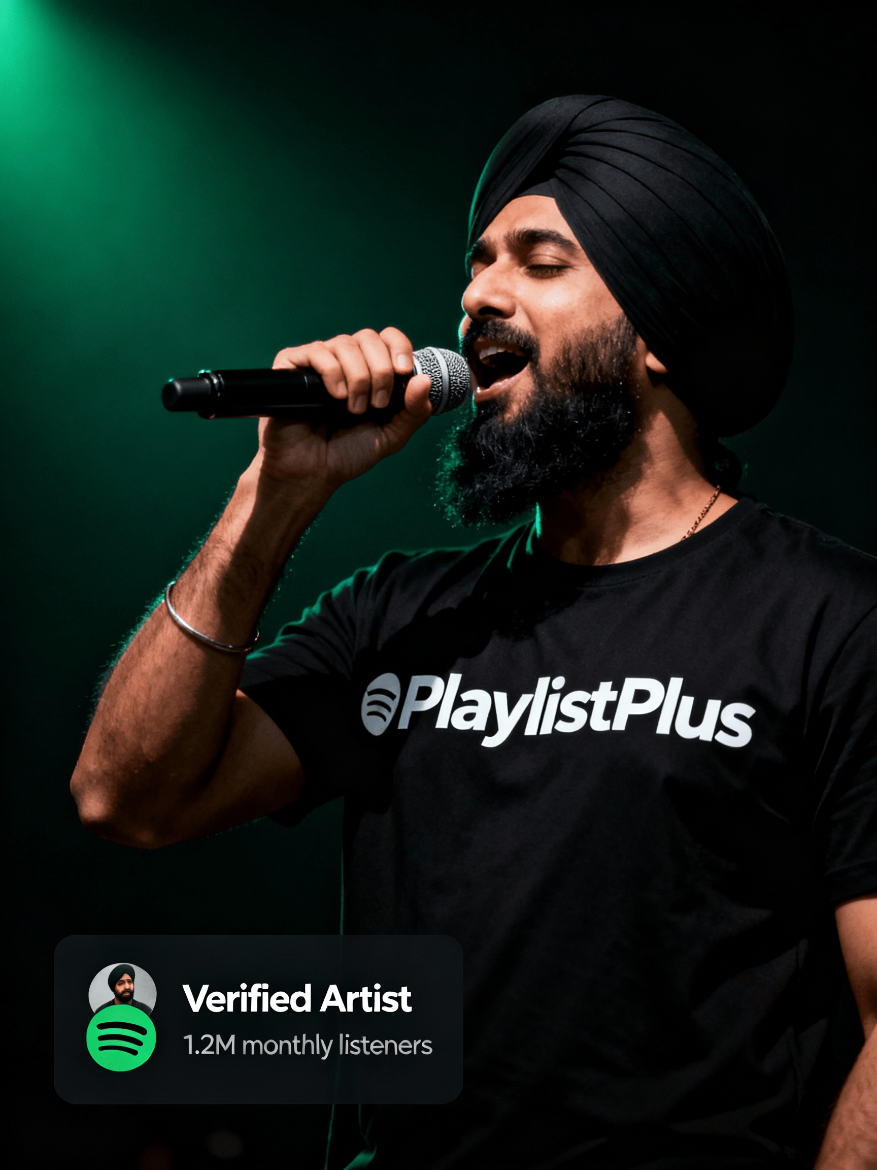 Music promotion and artist growth